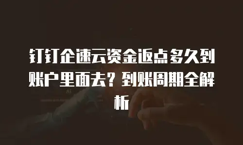钉钉企速云资金返点多久到账户里面去？到账周期全解析