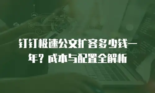 钉钉极速公文扩容多少钱一年？成本与配置全解析