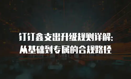 钉钉鑫支出升级规则详解：从基础到专属的合规路径