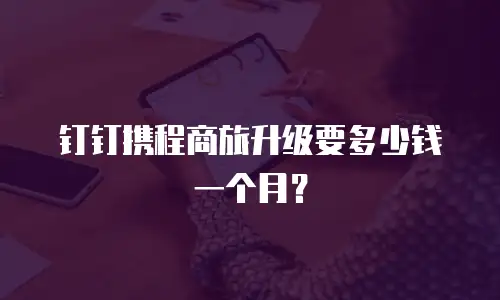 钉钉携程商旅升级要多少钱一个月？