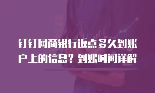 钉钉网商银行返点多久到账户上的信息？到账时间详解