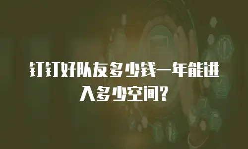 钉钉好队友多少钱一年能进入多少空间？