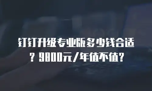 钉钉升级专业版多少钱合适？9800元/年值不值？