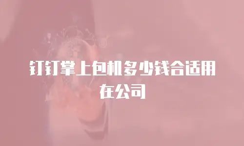 钉钉掌上包机多少钱合适用在公司
