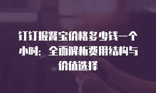钉钉报餐宝价格多少钱一个小时：全面解析费用结构与价值选择