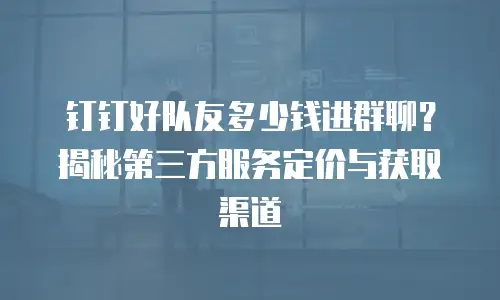 钉钉好队友多少钱进群聊？揭秘第三方服务定价与获取渠道