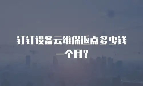 钉钉设备云维保返点多少钱一个月？