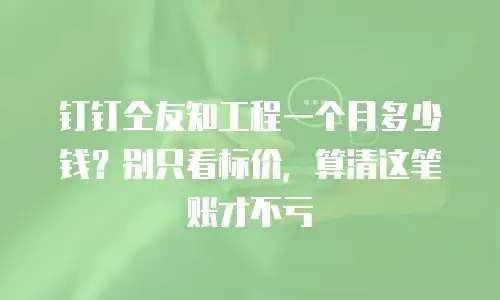 钉钉仝友知工程一个月多少钱？别只看标价，算清这笔账才不亏