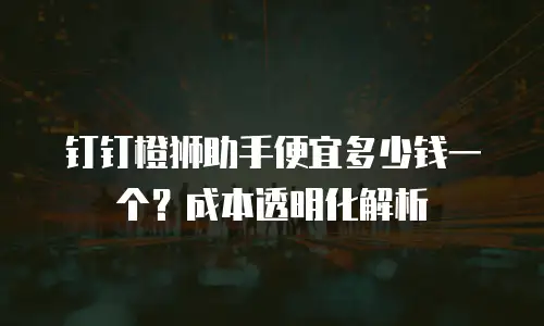 钉钉橙狮助手便宜多少钱一个？成本透明化解析