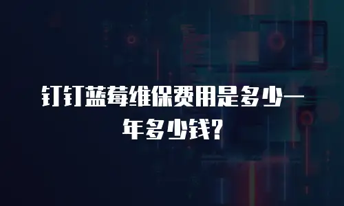 钉钉蓝莓维保费用是多少一年多少钱？
