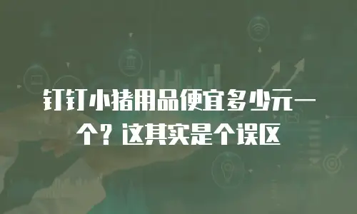 钉钉小猪用品便宜多少元一个？这其实是个误区
