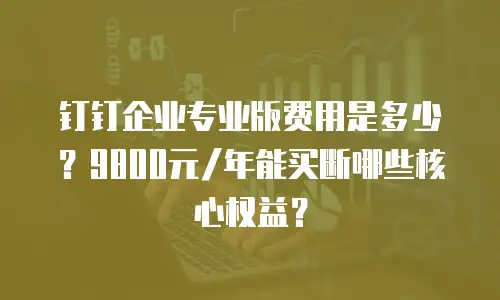 钉钉企业专业版费用是多少？9800元/年能买断哪些核心权益？