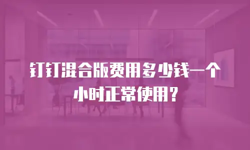 钉钉混合版费用多少钱一个小时正常使用？