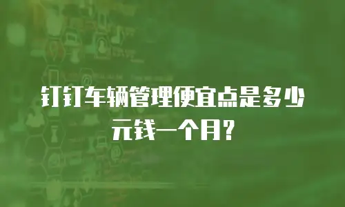 钉钉车辆管理便宜点是多少元钱一个月？