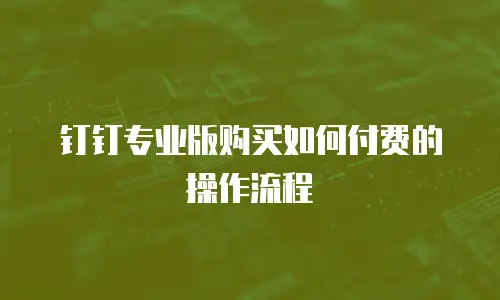 钉钉专业版购买如何付费的操作流程