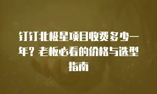 钉钉北极星项目收费多少一年？老板必看的价格与选型指南