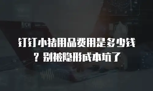 钉钉小猪用品费用是多少钱？别被隐形成本坑了