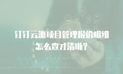 钉钉云派项目管理报价明细怎么查才清晰？