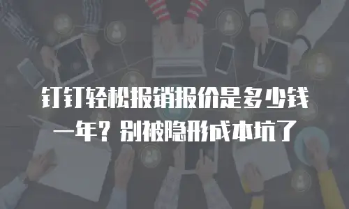 钉钉轻松报销报价是多少钱一年？别被隐形成本坑了