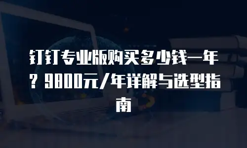 钉钉专业版购买多少钱一年？9800元/年详解与选型指南