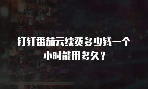 钉钉番茄云续费多少钱一个小时能用多久？
