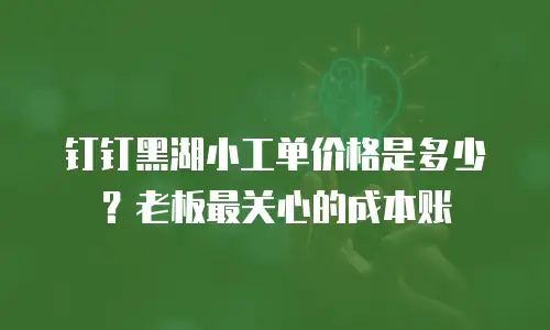 钉钉黑湖小工单价格是多少？老板最关心的成本账