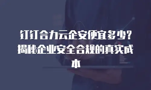 钉钉合力云企安便宜多少？揭秘企业安全合规的真实成本