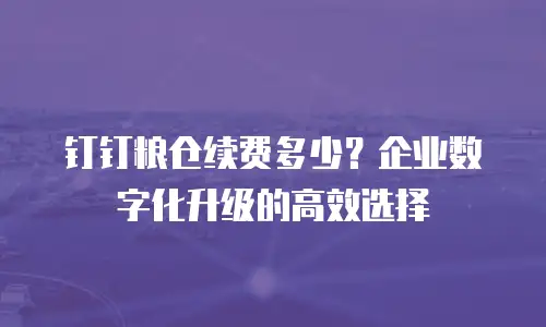 钉钉粮仓续费多少？企业数字化升级的高效选择