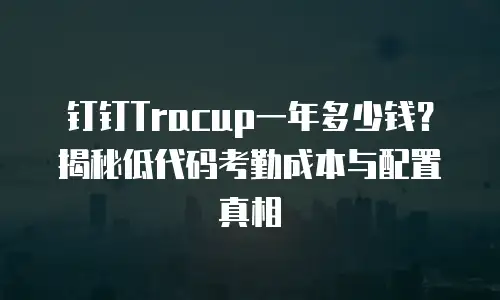 钉钉Tracup一年多少钱？揭秘低代码考勤成本与配置真相