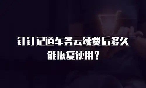 钉钉记道车务云续费后多久能恢复使用？