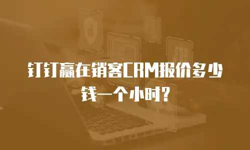 钉钉赢在销客CRM报价多少钱一个小时？