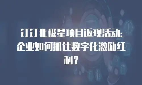 钉钉北极星项目返现活动：企业如何抓住数字化激励红利？