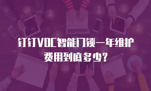 钉钉VOC智能门锁一年维护费用到底多少？
