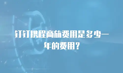 钉钉携程商旅费用是多少一年的费用？