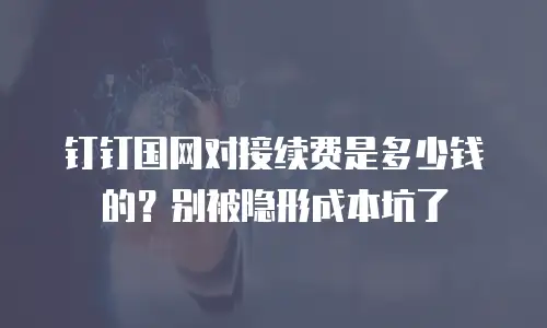 钉钉国网对接续费是多少钱的？别被隐形成本坑了