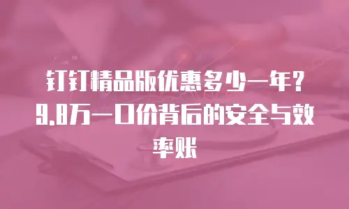 钉钉精品版优惠多少一年？9.8万一口价背后的安全与效率账