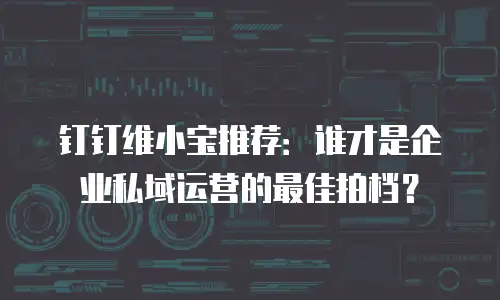 钉钉维小宝推荐：谁才是企业私域运营的最佳拍档？