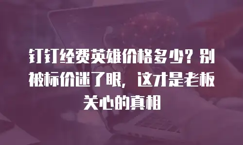 钉钉经费英雄价格多少？别被标价迷了眼，这才是老板关心的真相