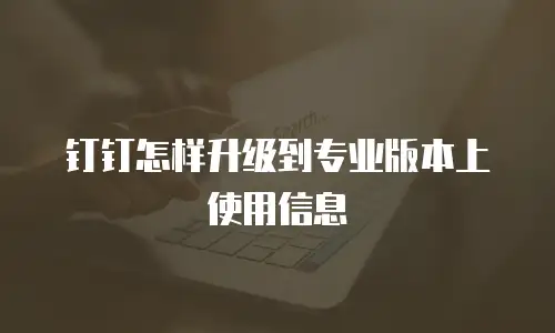 钉钉怎样升级到专业版本上使用信息