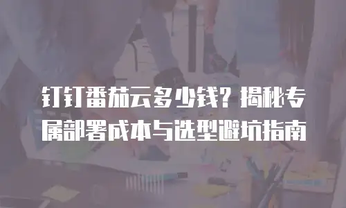 钉钉番茄云多少钱？揭秘专属部署成本与选型避坑指南