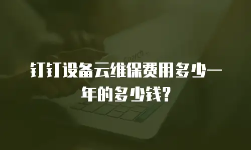 钉钉设备云维保费用多少一年的多少钱？
