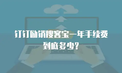 钉钉励销搜客宝一年手续费到底多少？