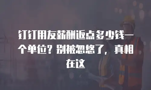 钉钉用友薪酬返点多少钱一个单位？别被忽悠了，真相在这