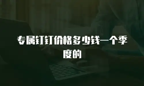 专属钉钉价格多少钱一个季度的