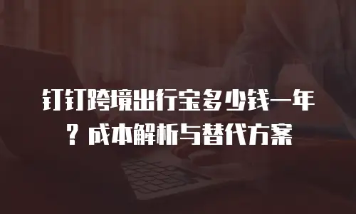 钉钉跨境出行宝多少钱一年？成本解析与替代方案