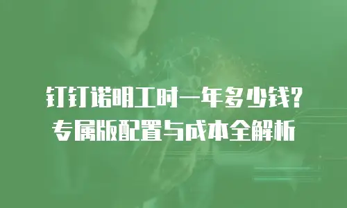 钉钉诺明工时一年多少钱？专属版配置与成本全解析