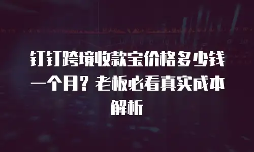 钉钉跨境收款宝价格多少钱一个月？老板必看真实成本解析
