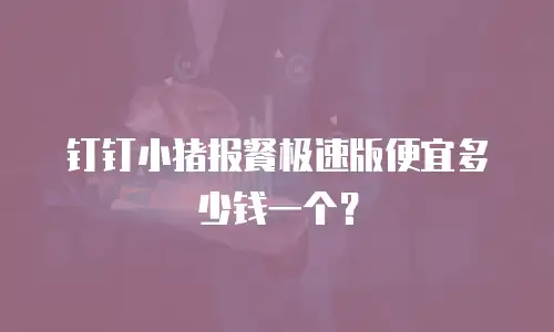 钉钉小猪报餐极速版便宜多少钱一个？