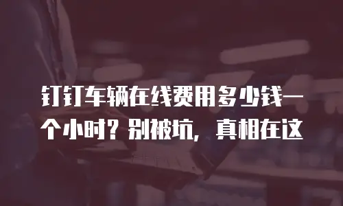钉钉车辆在线费用多少钱一个小时？别被坑，真相在这