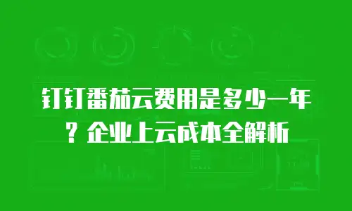 钉钉番茄云费用是多少一年？企业上云成本全解析
